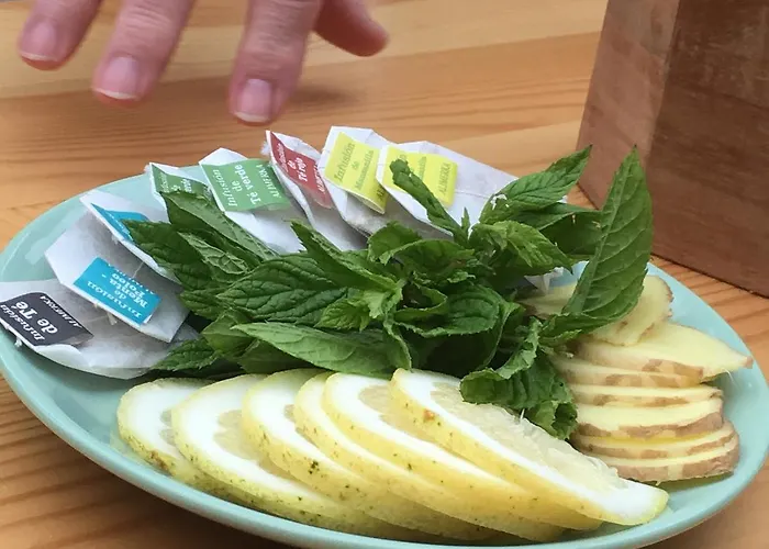 Inn La Campa Salas (Asturias)